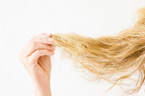 Woman's hand holding wet, blonde, tangled hair after washing on the white background